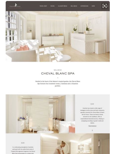 website-9
